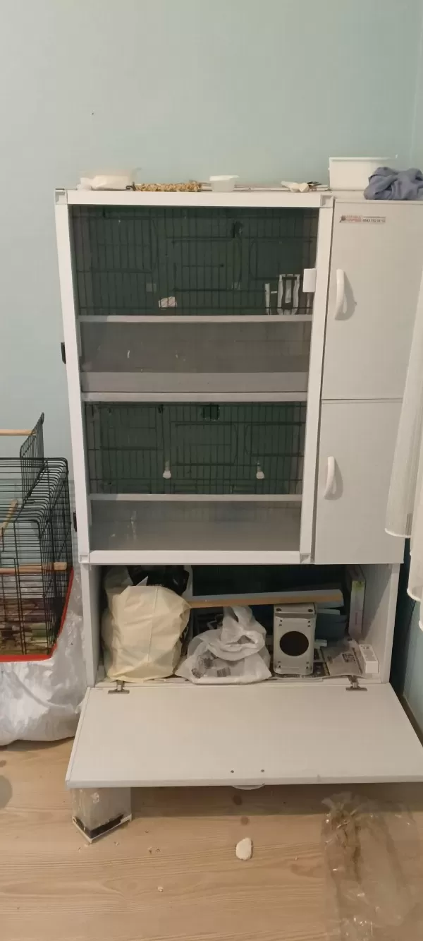 Pvc Kafes Ve Malzemeler İle Birlikte Sultan Papağanı