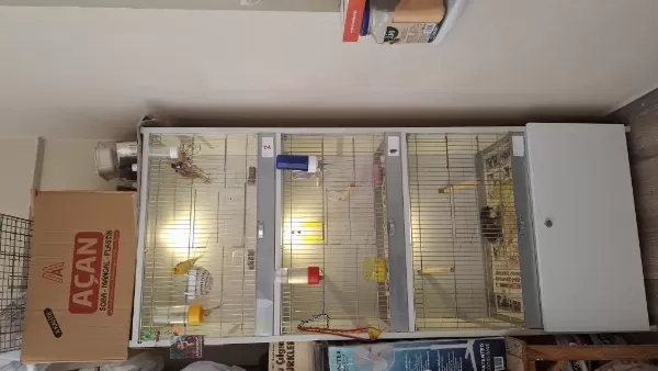 Kafes Sağlam Pvc Temiz 3 Lü Alta Dolaplık Yeri Var