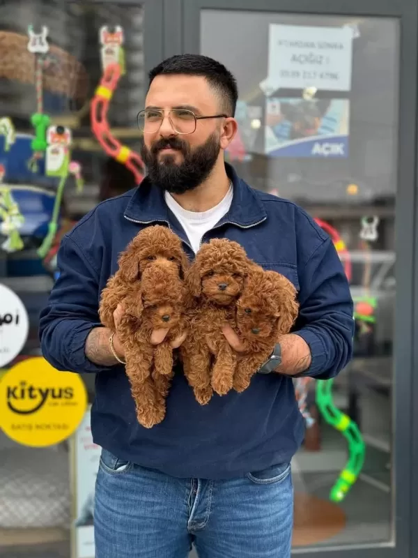 Çağrı Çemçemin Sizin İçin Seçtiği Yavrular