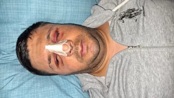 Lutino Ve Albino Sultan Papağanı Yavrular