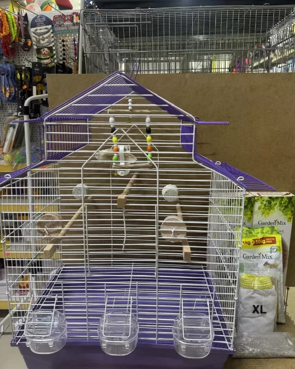 El Besleme Yavru Cennet Papağanlar