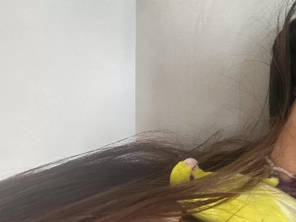 Bir Çift Sarı Forpus