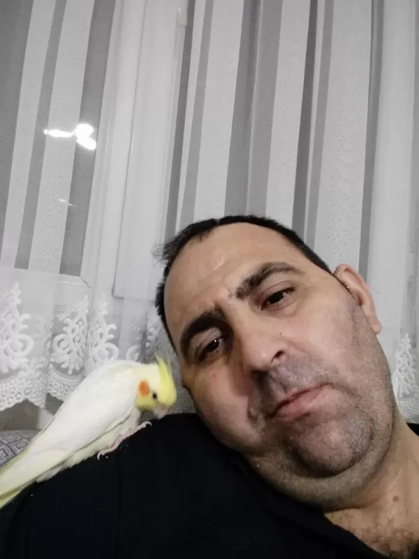 Lutino Kırmızı Göz Yavru Sultan Papağanı