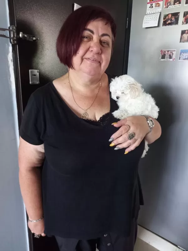 Maltese Terrier Adrese Teslim, Kapıda Ödeme Yapabilirsiniz