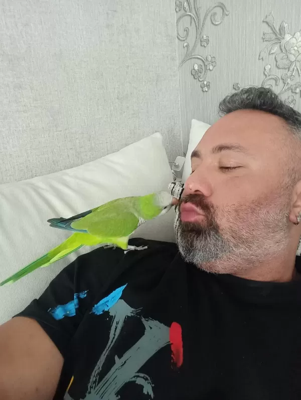 11 Aylık Çok Yakışıklı Sağlıklı Veteriner Bakımlı Monk