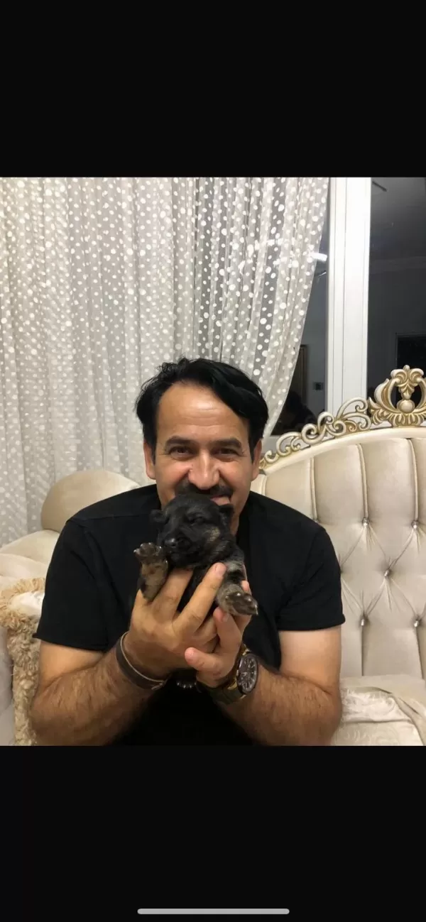 K9 Alman Kurdu Yavrularımız Potyumda