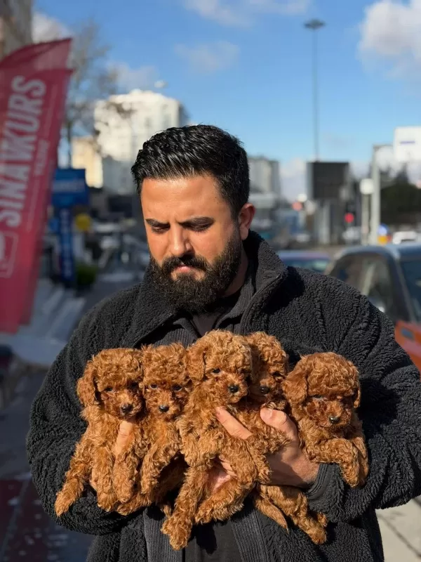 Gercek Anne Baba Gercek Toy Kalitesi