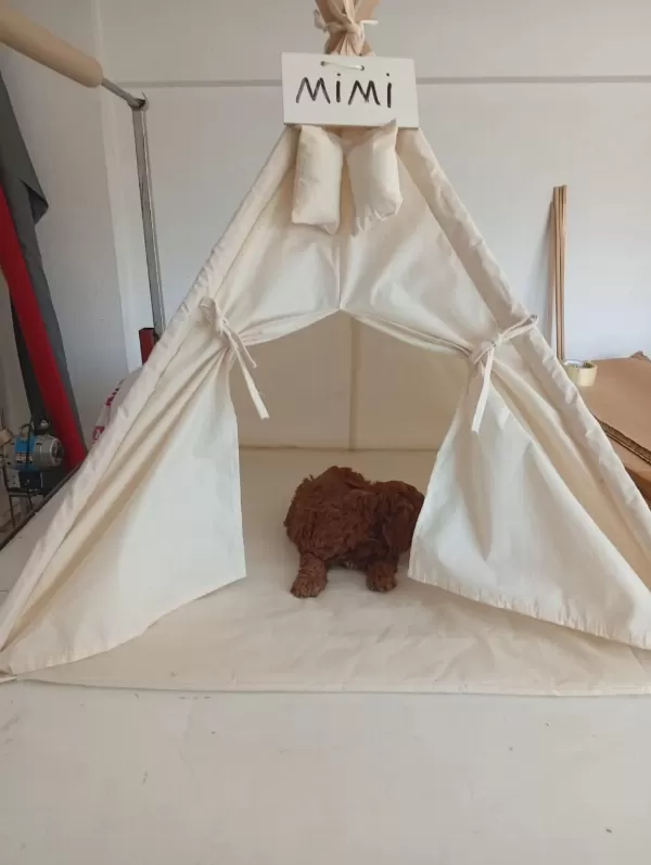 Harika Tatli Poodle Çocuklar