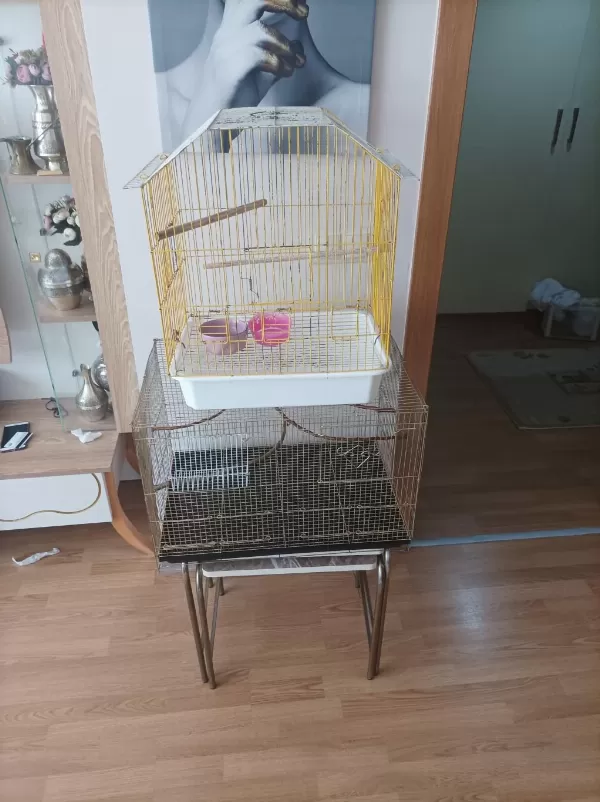 Çeşitli Kafesler Takas Olur