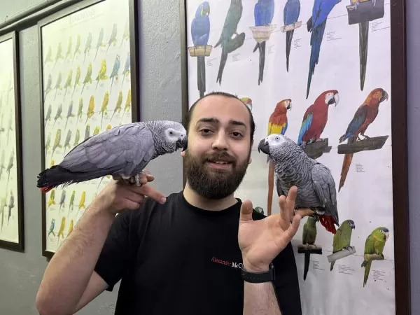 200 Kelime Konuşan Jako Papağanimiz