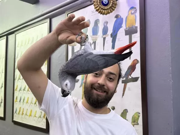 200 Kelime Konuşanabilen Jako Papağanımız