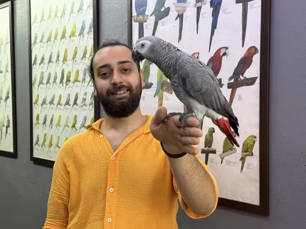 100 Kelime Konuşan Cümle Kuran Jako Papağanimiz