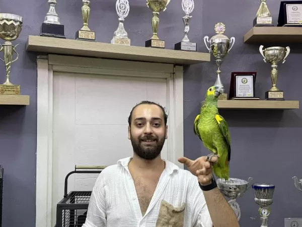 Üst Düzey Bluefront Amazon Papağanimiz