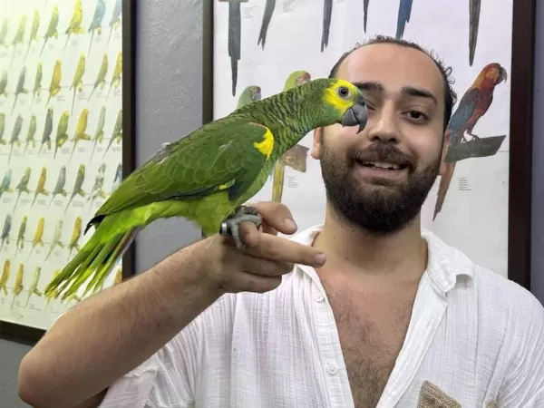 Üst Düzey Bluefront Amazon Papağanimiz