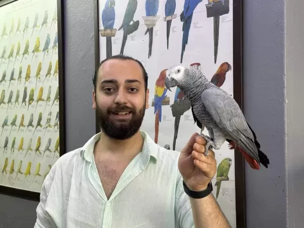 200 Kelime Ve Üzeri Sinirsiz Konuşan Jako
