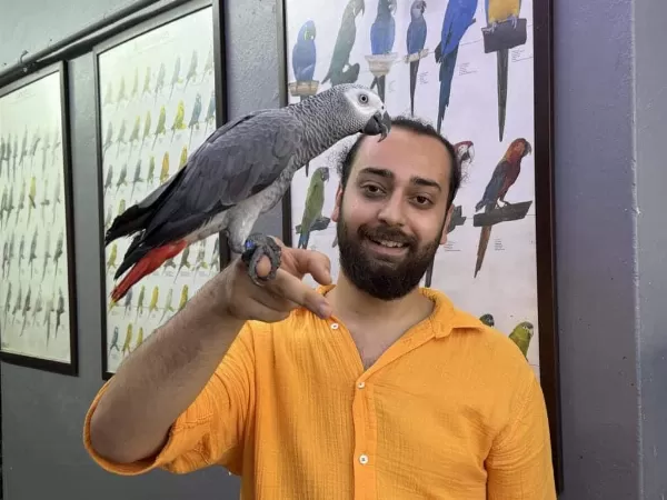 100 Kelime Konuşan Cümle Kuran Jako Papağanimiz