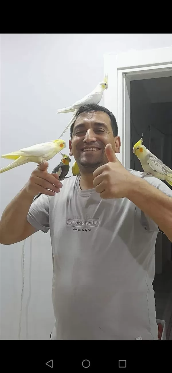 Yerli Üretim Sultan Papağanlarimiz