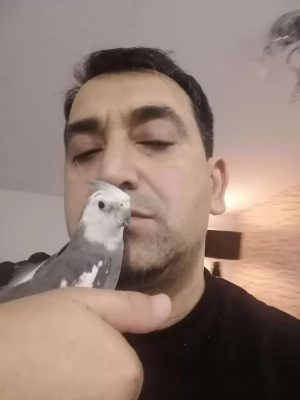 Yerli Üretim Sultan Papağanlarimiz