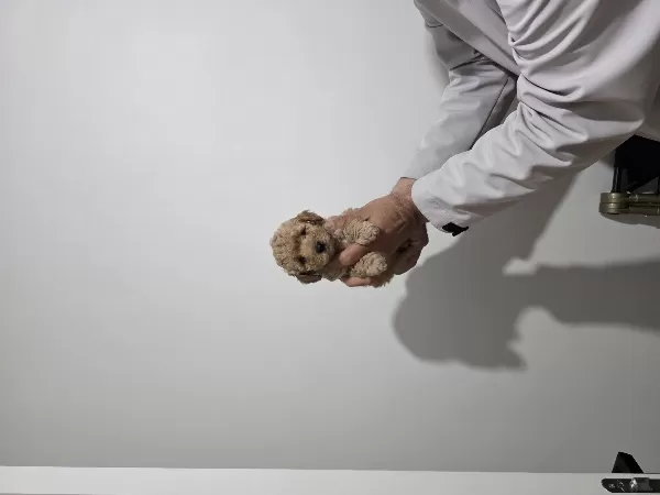 Çok Büyümeyen Minyatür Minnaklarım