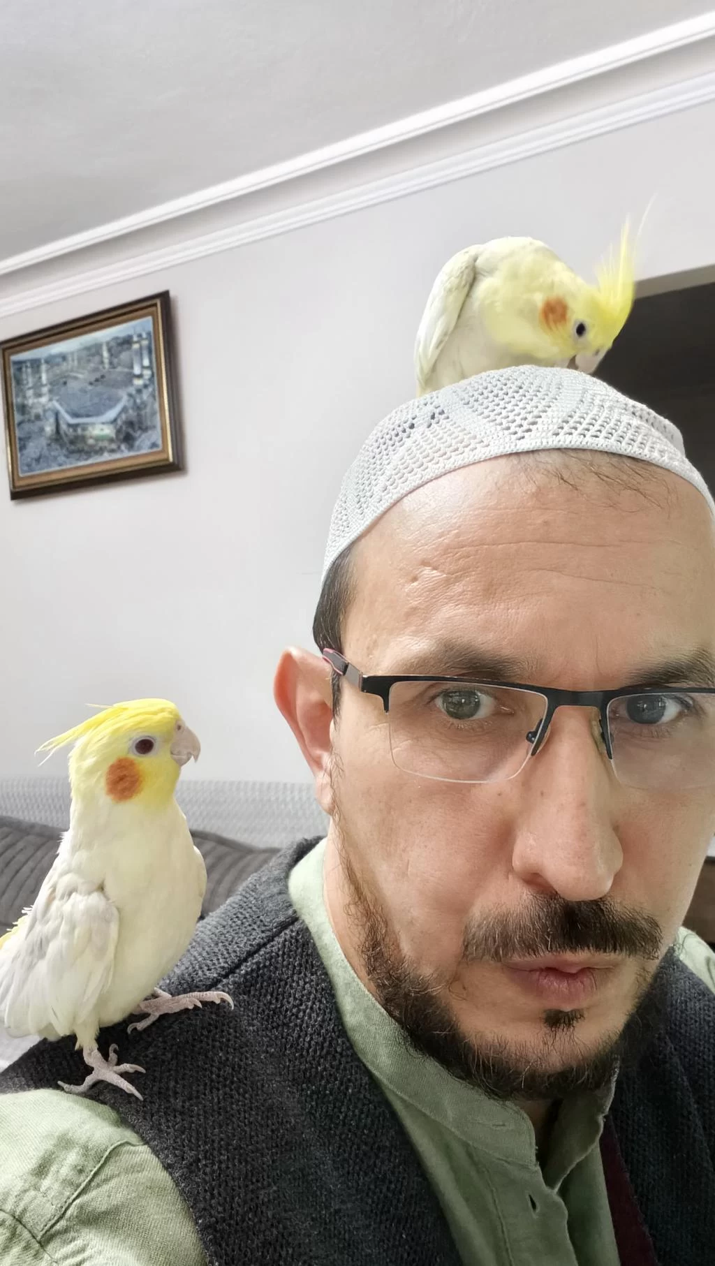 1 Dişi Ve 1 Erkek Ele Omuza Alışık Sultan Papağanlar