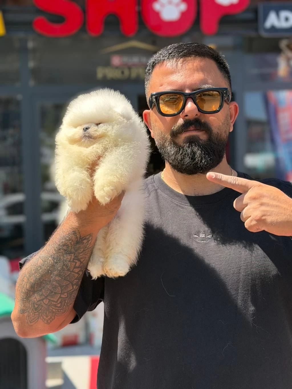 Ankaranın Tek Pet Danışmanlığı