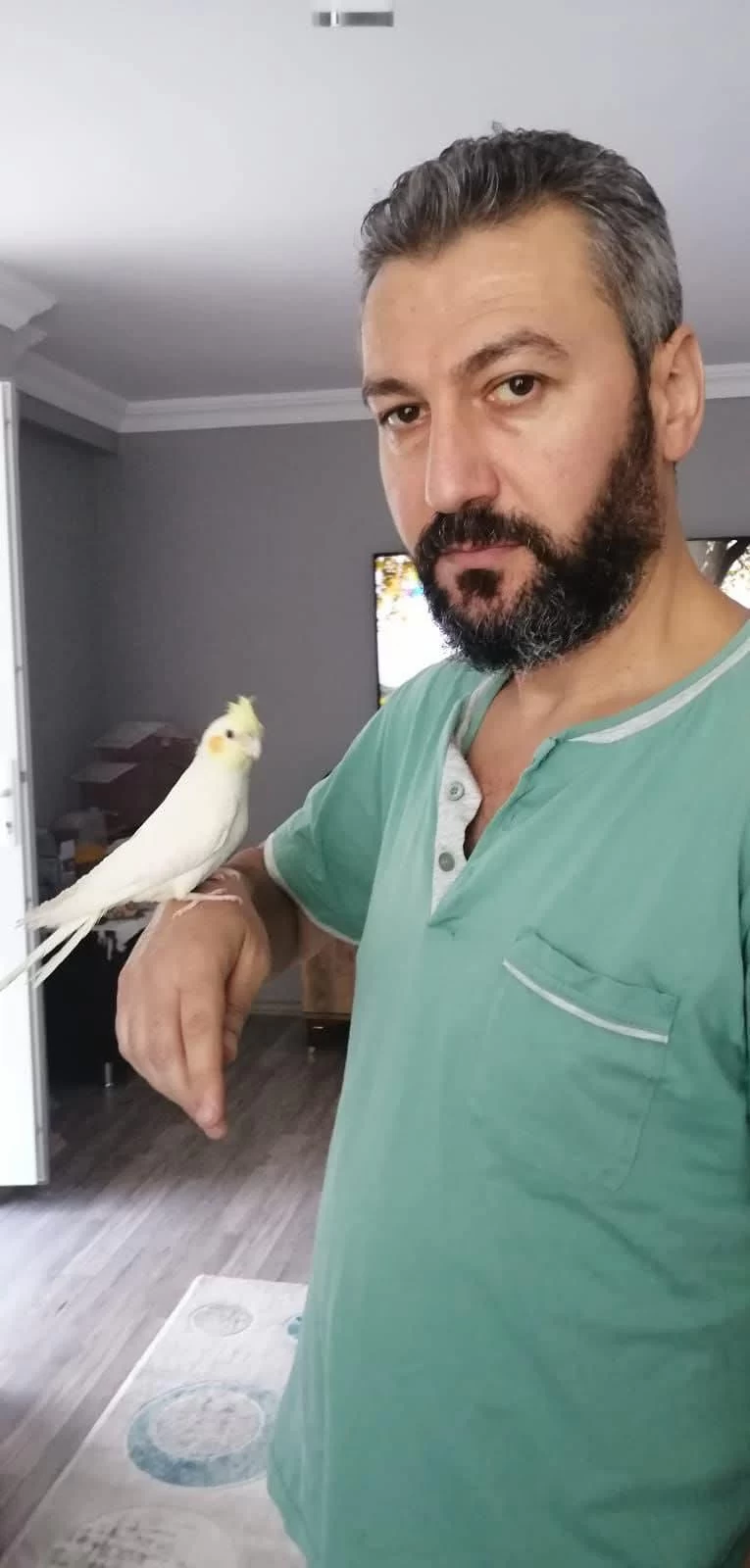 Alışkın Sultan Papağanımız