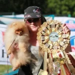 2 Aylik Pomeranian Boo