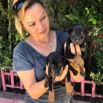 Muhtesem King Doberman Yavrularımız