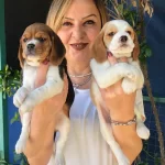 Sevimli Oyuncu Beagle Yavrularımız