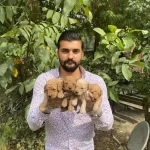 Uyari Yemesi Hissi Uyandiran Toy Poodle Yavrularımiz