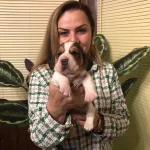 Uc Renk Harika Beagle Yavrularımız