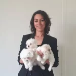 Teacup A Class Kore Kan Maltesse Yavrularımız