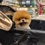 Kore Den Gelen Ozel Yavrularımız