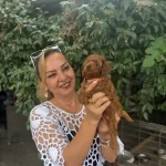 Efsane Mini Boy Toy Poodle Yavrularımız