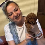 Irk Garantili Oyuncu Efsane Toy Poodle Yavrularımız