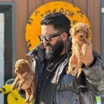 Tasarım Harikası Maltipoo Yavruları