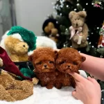 Sadece Bebekken Degil Her Zaman Kucuk Kalacaklar