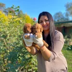 Mukemmell Toy Poodle Yavrularımız