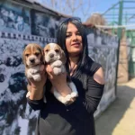 Safkan Eli̇zabet Beagle Yavrularım