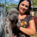 Mukemmel Canecorso Yavrularımiz