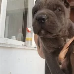 Daha Iyisi Olana Kadar En Iyisi Bu