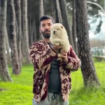 Chow Chow Cin Aslanı Yavrularımız