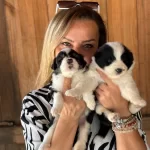 Oyuncu Zeki Efsane Border Collie Yavrularımız