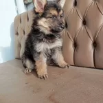 Bu Kaliteyi Kacırmayın