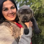 Dev Canecorso Yavrularımiz