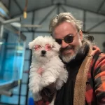 Bakmadan Gecme Maltese Terier Yavrular