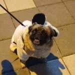 Tuvalet Ve Temel Eği̇ti̇mli̇