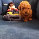 Sakın Kacırmayın Bu Rakama Yok