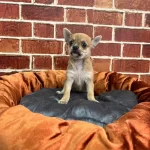 Gercek Bir Sevgi Yumagı Mini Boy