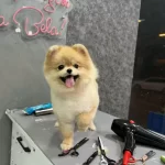 Guzel Yuzlu Kızımız